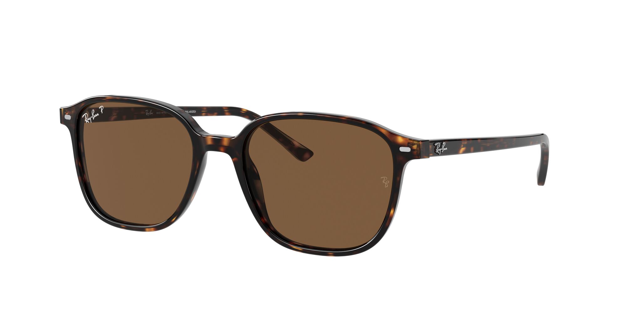 Rb 2193 Tortoise B-15 Brown Pol